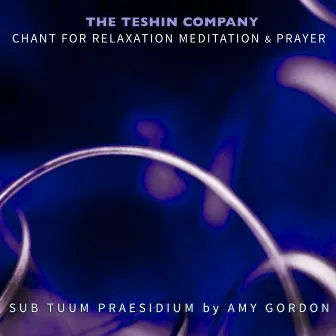 Chant For Relaxation Meditation & Prayer No. 2: Sub Tuum Praesidium by Amy Gordon