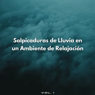 Salpicaduras De Lluvia En Un Ambiente De Relajación Vol. 1 by Lluvia Sonidos FX