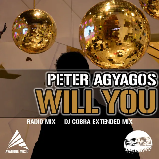 Will You (DJ Cobra Remix)