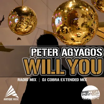 Will You by Peter Agyagos