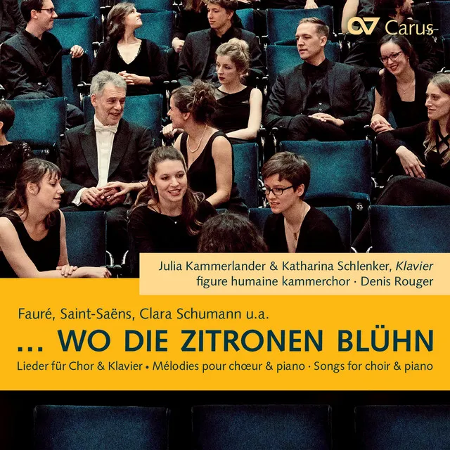 6 Lieder aus Jucunde, Op. 23: No. 6, O Lust (Arr. Rouger for Choir and Piano)