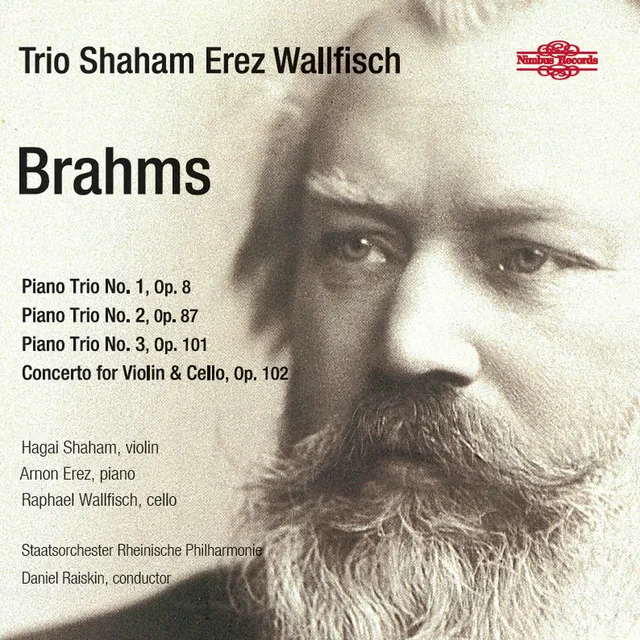 Piano Trio No. 1 in B Major, Op. 8: I. Allegro con brio