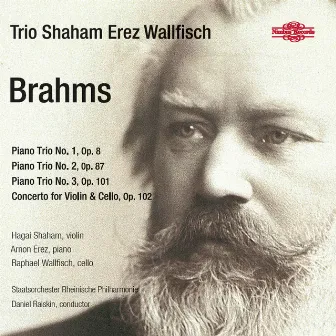 Brahms: Works for Strings by Hagai Shaham