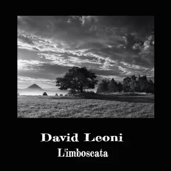 L'imboscata by David Leoni