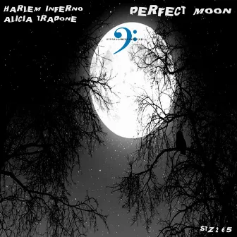 Perfect Moon by Alicia Trapone