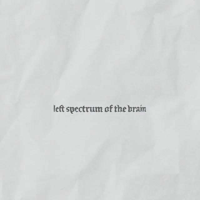 Left spectrum of the brain