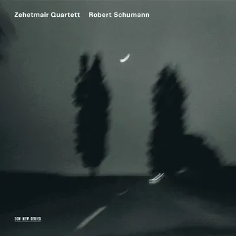 Robert Schumann by Zehetmair Quartett