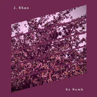 So Numb by J. Khan