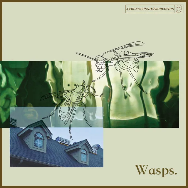 Wasps