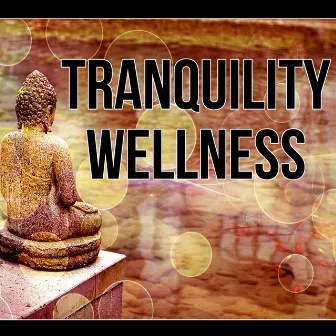 Tranquility Wellness - Music for Healing Through Sound, Peaceful Music, Music Background for Wellness, Ocean Waves, Massage Therapy, Mindfulness Meditation, Relaxing Track by Amazing Spa Universe