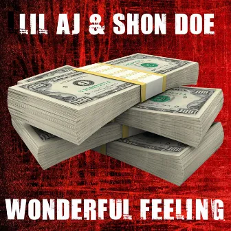 Wonderful Feeling by Shon Doe