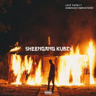 LOST TAPES, Vol. 1 by $heenGanG KUBZY