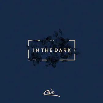 In the Dark by E R I K