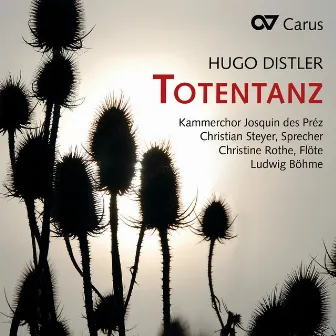 Distler: Totentanz, Op. 12 No. 2 by Kammerchor Josquin des Préz