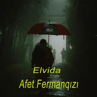 Elvida by Afet Fermanqızı