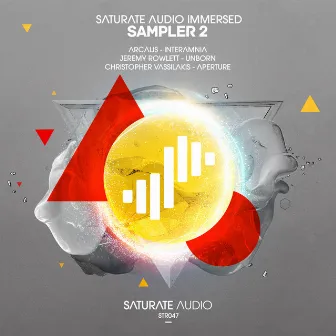 Saturate Audio Immersed Sampler 2 by Christopher Vassilakis