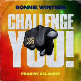 Challenge You by Ronnie Winters