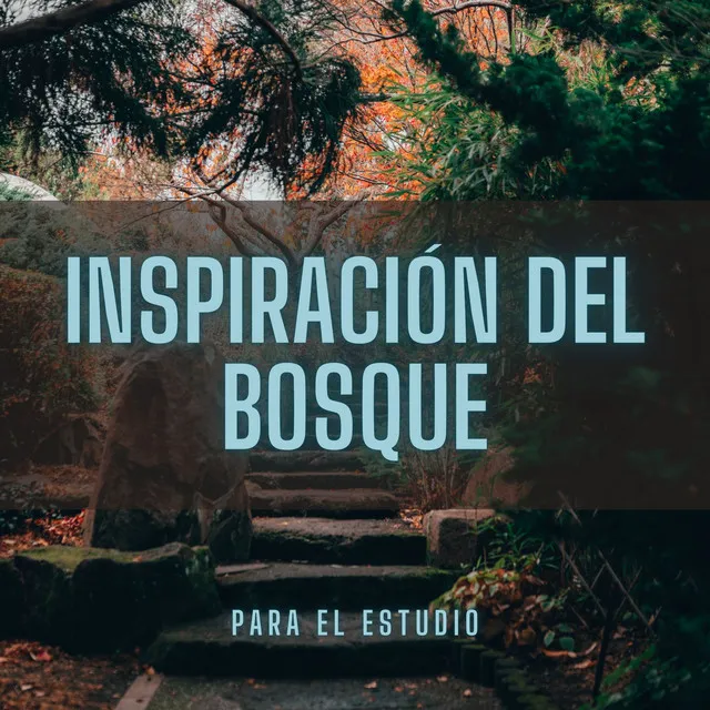 Inspiración Del Bosque Para El Estudio