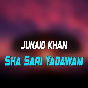 Sha Sari Yadawam by Junaid Khan