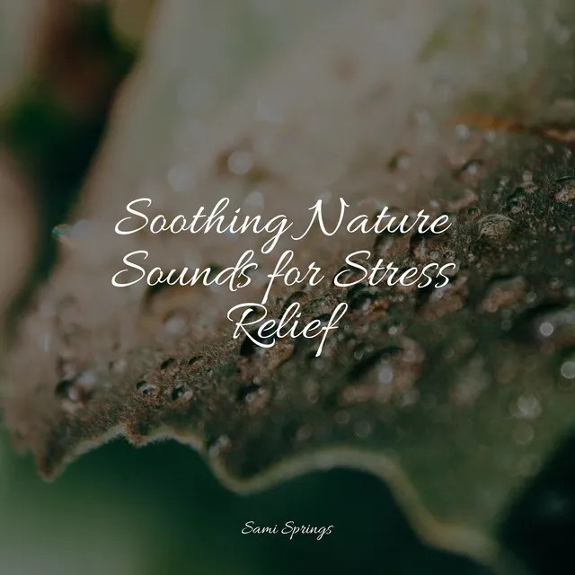 Soothing Nature Sounds for Stress Relief