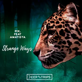 Strange Ways by P.I.X.