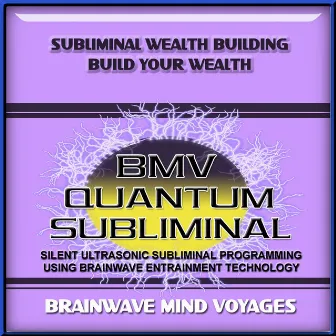 Subliminal Wealth Building Build your Wealth by Brainwave Mind Voyages