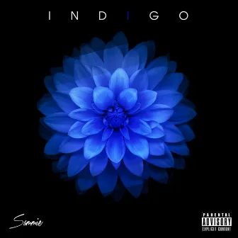 Indigo by Sammie