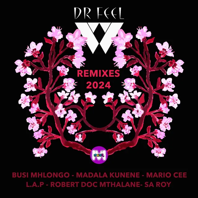 Tulear Mozika - Dr. Feel Remix