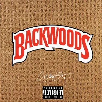 Backwoods (Instrumental) by Connor