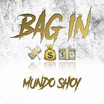 Bag In by Mundo Shoy