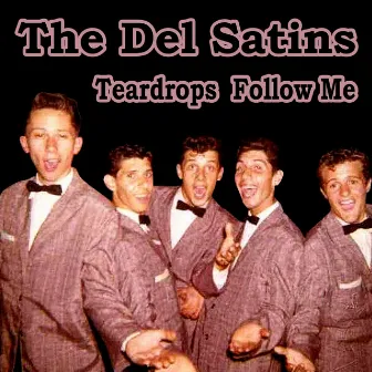 Teardrops Follow Me by The Del Satins