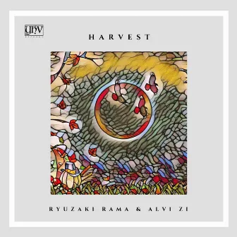 Harvest by Alvi ZI