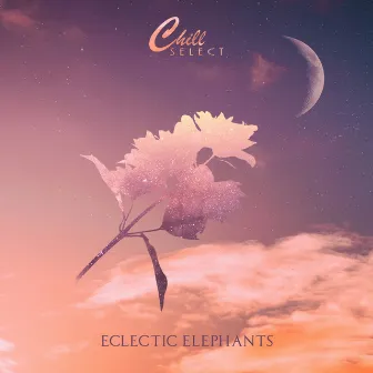 It'll Be Cold by Eclectic Elephants