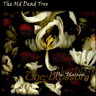 The Blossom by The Old Dead Tree