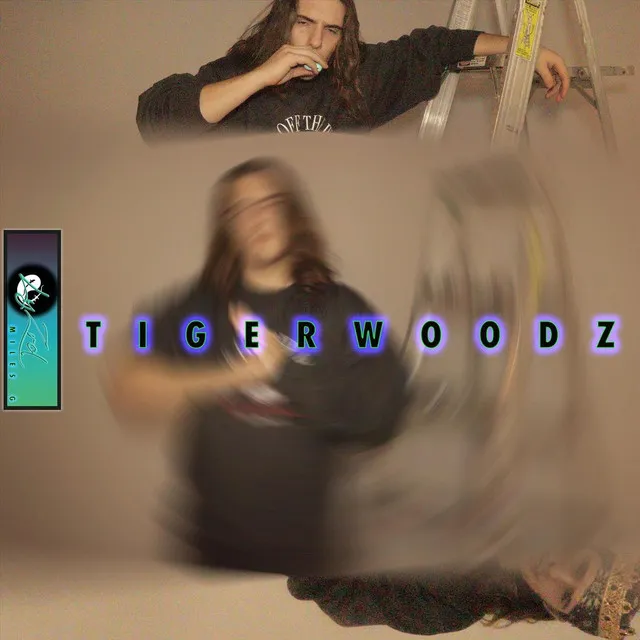 TIGER WOODZ.