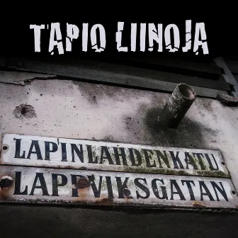 Lapinlahdenkatu by Unknown Artist