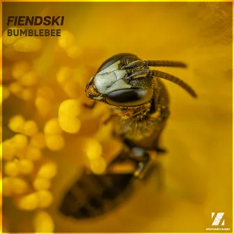 Bumblebee by Fiendski