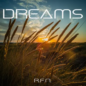 Dreams (Schiller Mix) by r.f.n.