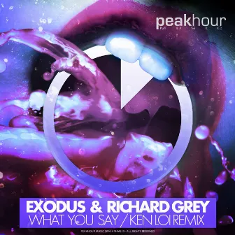 What You Say (Ken Loi Remix) by Richard Grey