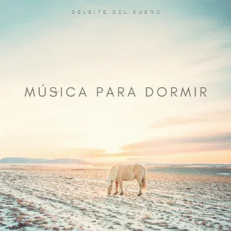 Música Para Dormir: Deleite Del Sueño by Reiki Consorte de Curación