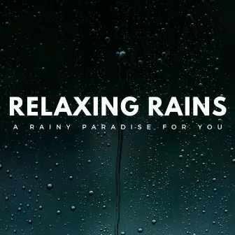 Relaxing Rains: A Rainy Paradise For You by Sound of the Wilderness