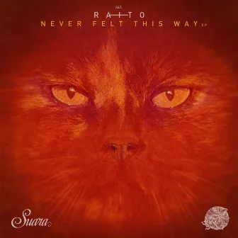 Never Felt This Way EP by Raito