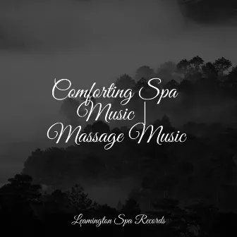 Comforting Spa Music | Massage Music by Mother Nature Sound FX