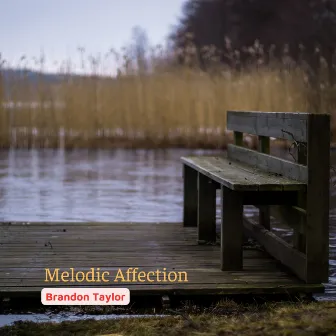 Melodic Affection by Brandon Taylor