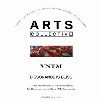 Dissonance Is Bliss by VNTM