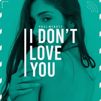 I Don't Love You by Paul Mendez