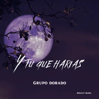 Y tu que harias by Grupo Dorado