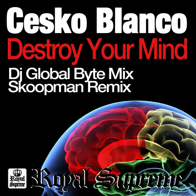 Destroy Your Mind - Skoopman Remix