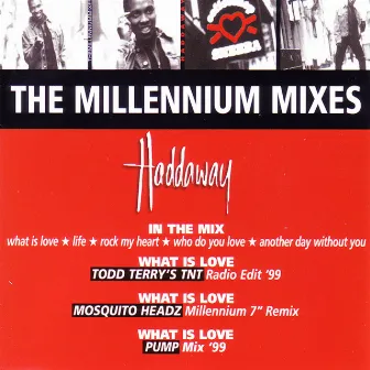 The Millennium Mixes by Haddaway