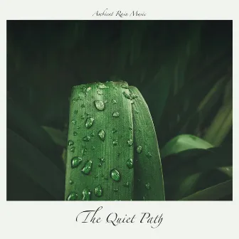 Ambient Rain Music by The Quiet Path